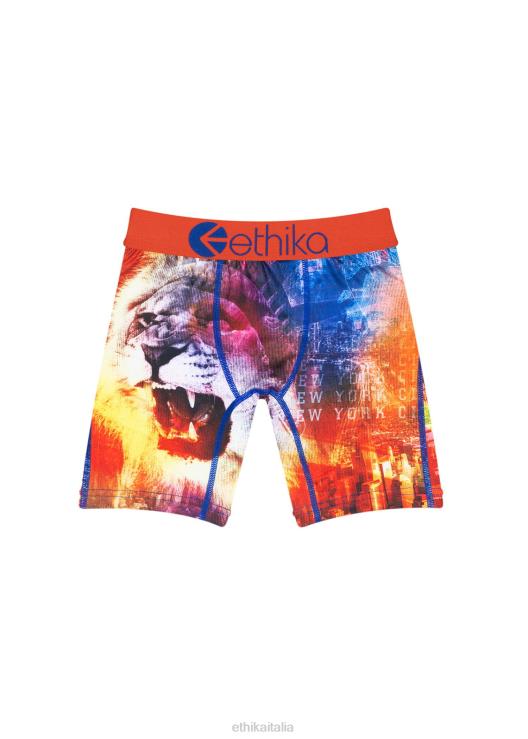 fiocco ny morph bambini piccoli Ethika 6P2X01781 vestiario
