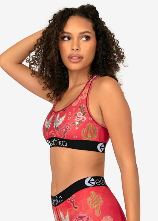 reggiseno sportivo ranch di base - cowgirl con strass ragazze Ethika 6P2X01342 vestiario