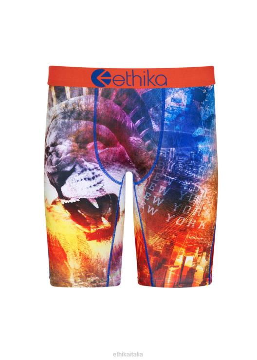 fiocco ny morph ragazzi Ethika 6P2X01587 vestiario