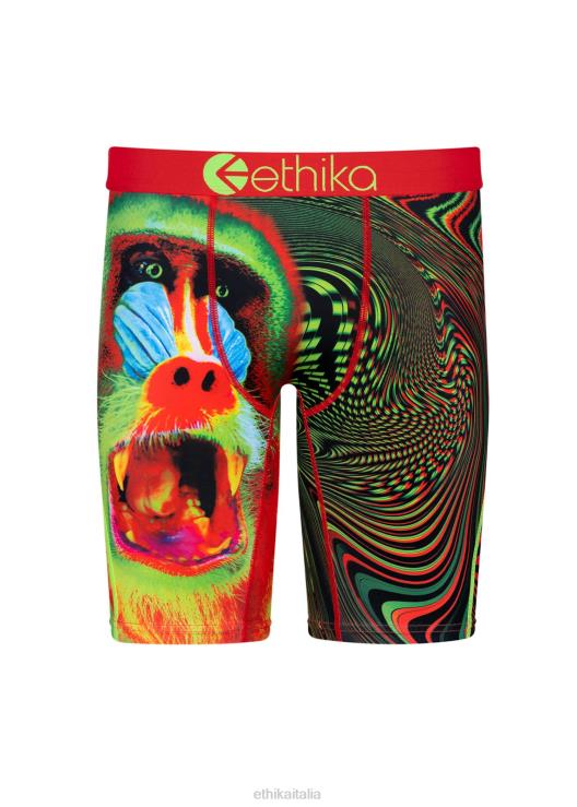 fiocco primordiale flo ragazzi Ethika 6P2X01558 vestiario