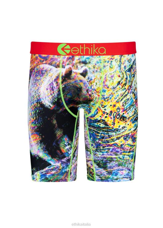 orso di acido di base ragazzi Ethika 6P2X01579 vestiario