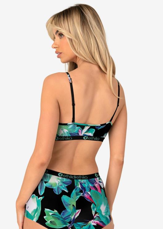 barlume di reggiseno pullover donne Ethika 6P2X01157 vestiario