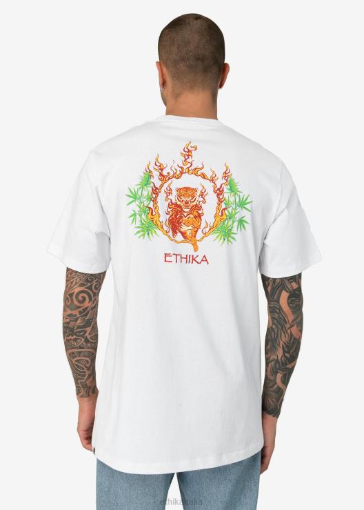 maglietta grafica Baked Circus - bianca uomini Ethika 6P2X0539 vestiario