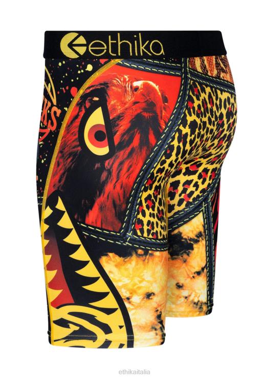 falchi di base - famiglia uomini Ethika 6P2X0438 vestiario