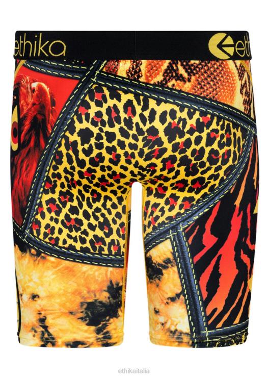 falchi di base - famiglia uomini Ethika 6P2X0438 vestiario