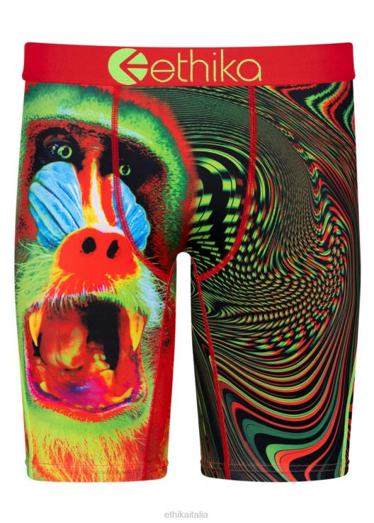 fiocco primordiale flo uomini Ethika 6P2X066 vestiario