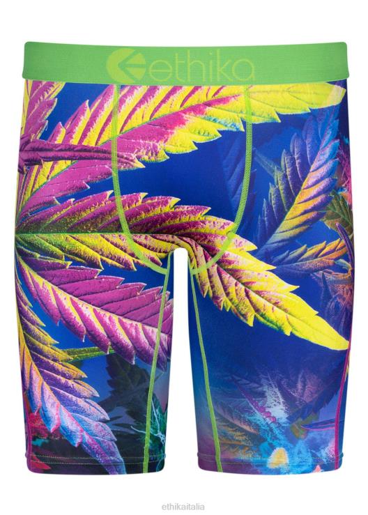 foschia UV di base uomini Ethika 6P2X088 vestiario