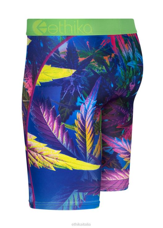 foschia UV di base uomini Ethika 6P2X088 vestiario