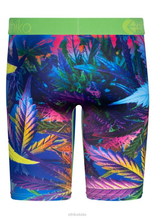 foschia UV di base uomini Ethika 6P2X088 vestiario