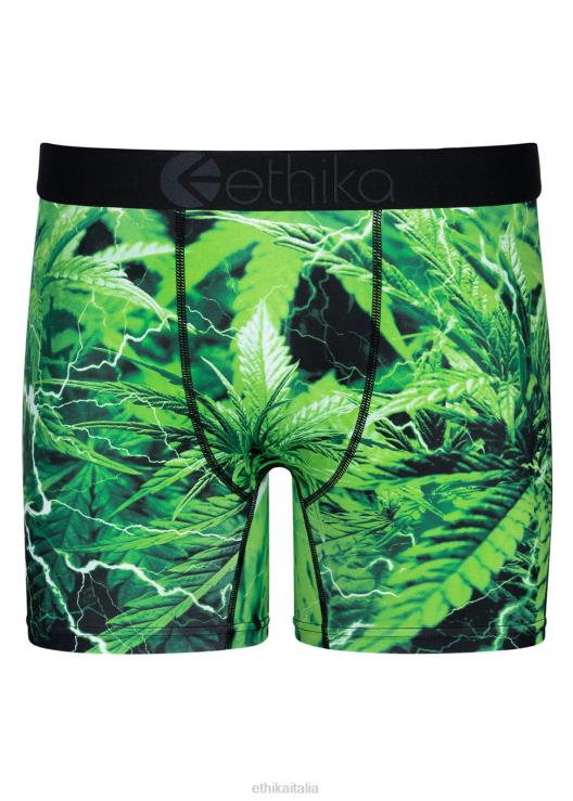 amore elettrico medio uomini Ethika 6P2X0231 vestiario