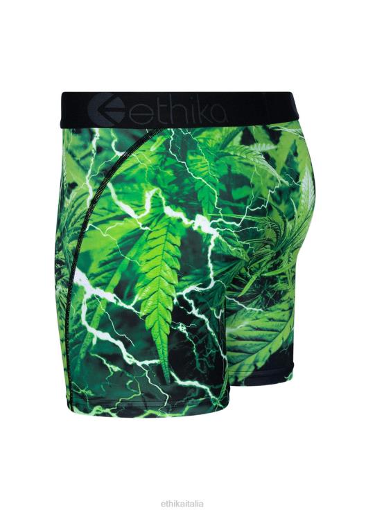 amore elettrico medio uomini Ethika 6P2X0231 vestiario