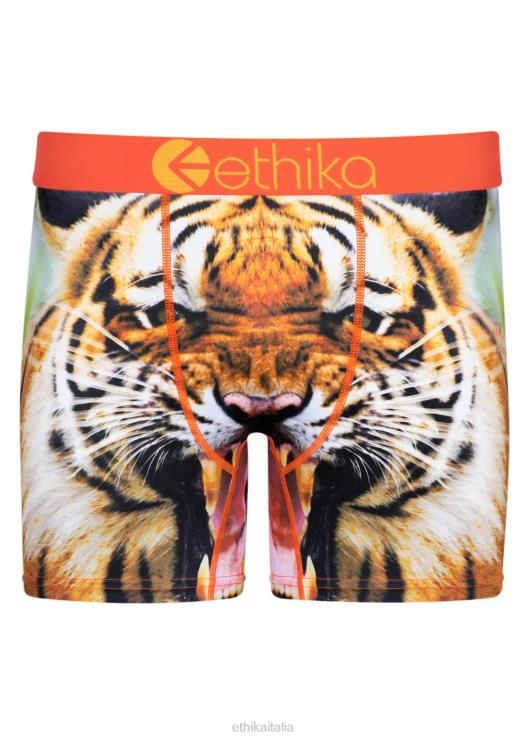 mac tigre media uomini Ethika 6P2X0207 vestiario